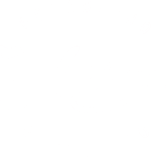 Logo Jelooca